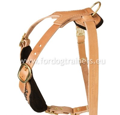 Studded Harness for Dogs Large and Medium