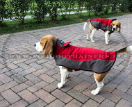 Manteau rouge impermable pour Beagle