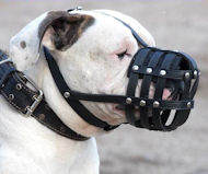 Dagelijks het lichte gewicht ventilatie hond muilkorven