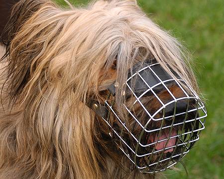 Drahtmaulkorb Briard