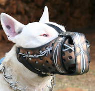 Hand painted leather dog muzzle Draht for Bull Terrier