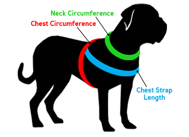 How to Measure a Dog for This
Harness