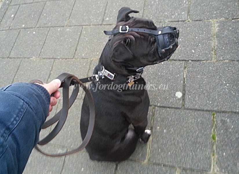 Best padded leather dog muzzle for All Mastiffs