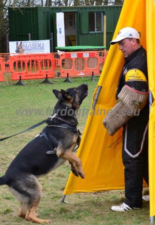Training Bite Sleeve Schutzhund