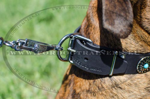 Nickel steel buckle and ring of the Embellished dog
collar for Boxer