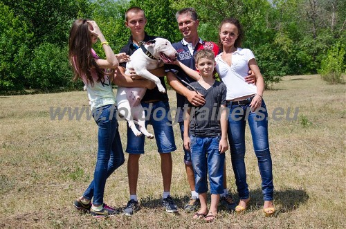 Family with Bull Terrier