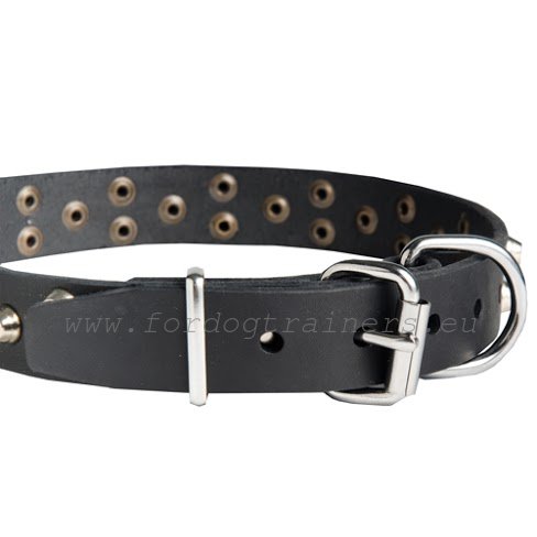 Leather collar with steel nickel-plated furniture