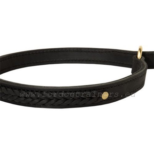 Leather
decorations of the stylish braided collar