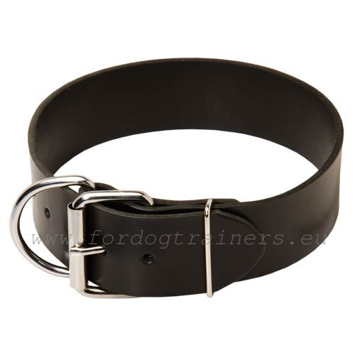 Metal
hardware of the Walking Leather Dog Collar for Malinois