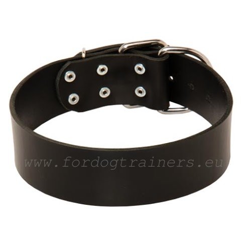 Extra
wide leather collar
