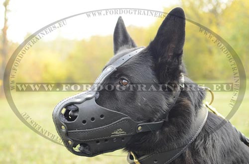 Padde dog muzzle exclusive quality and strength