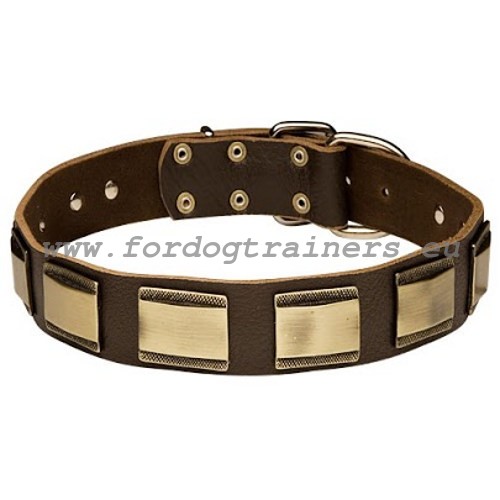 Royal Design dog collar of brown leather