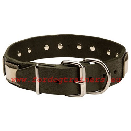 Solid welded furniture of the Royal Style collar for German Shepherd