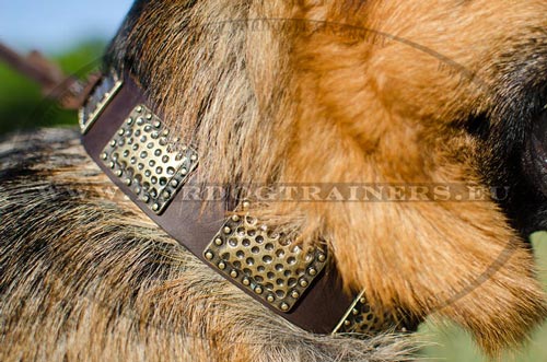 Brown Leather Dog Collar with Massive Plates