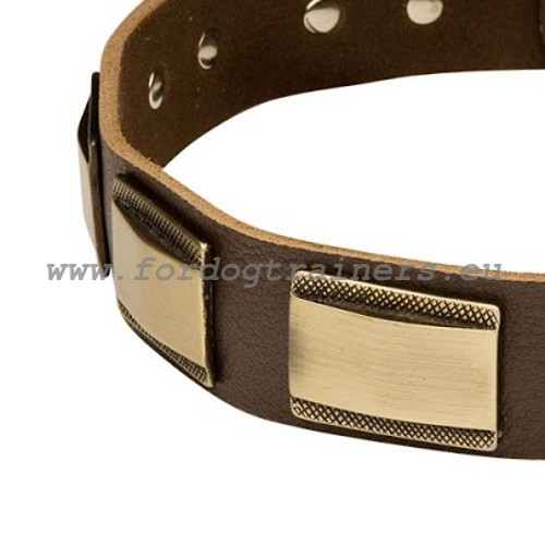 Leather dog collar's decorations