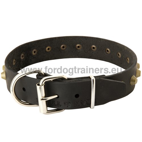 Husky Leather Collar with Rust-resistant Furniture
