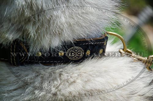 Wide Handmade Collar with Braids for Husky