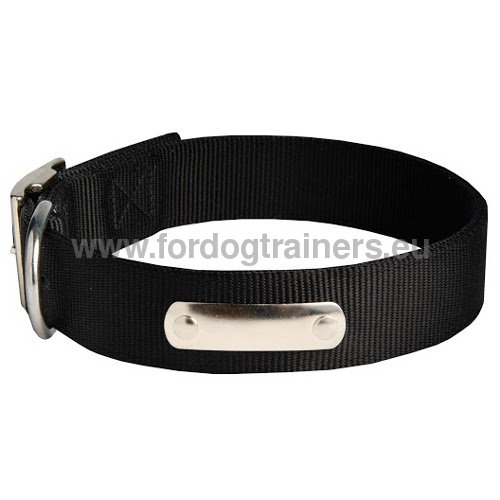 Doberman personified nylon dog collar