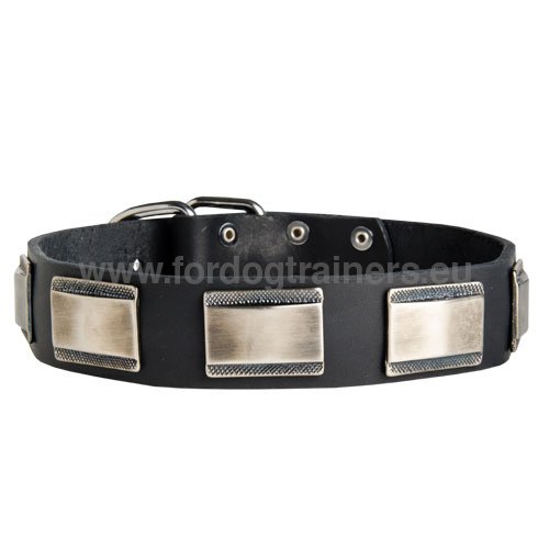 Leather collar with stamped plates for Pitbull unique
design