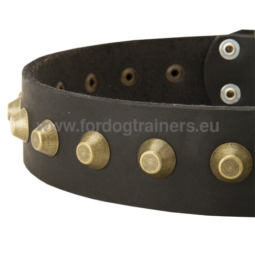 Exclusive Collar for Husky