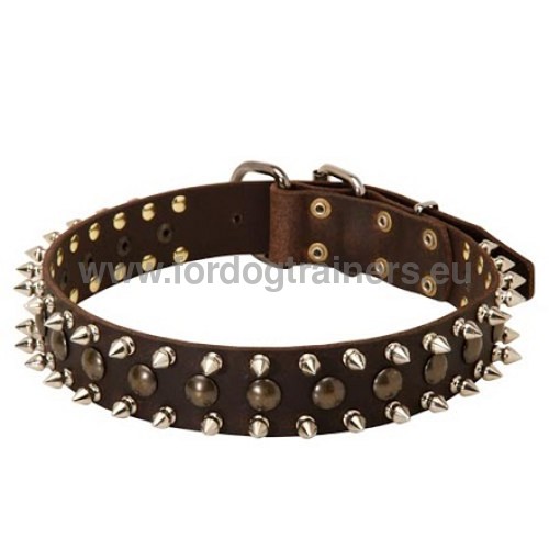 Durable leather collar for Laika with decorations