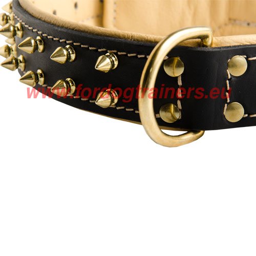 Reliable Hardware of the Walking Dog Collar