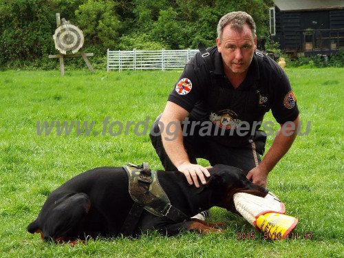 Well-trained Doberman with Bite Sleeve Protective
Sleeve for Doberman Training