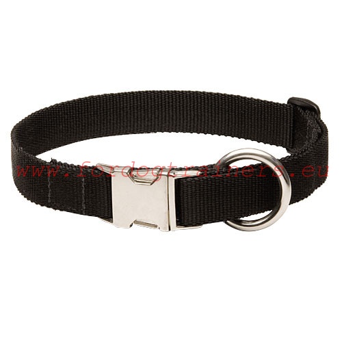 Classical nylon collar for K9 and other exercises
for Doberman