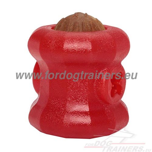 Strong Foam Dog Toy