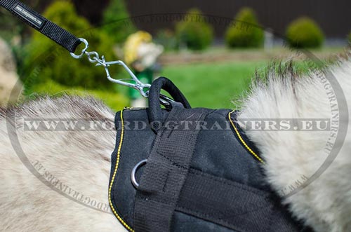 Resistant Pulling Harness for Husky