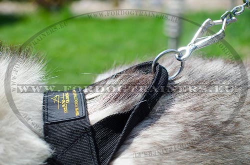 Adjusted Nylon Harness for Siberian Husky