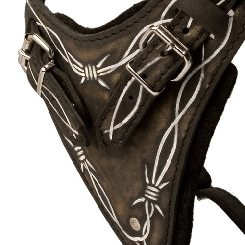 Painted Harness Breast Plate