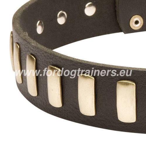 Excellent rust proof metal plates of the dog collar for GSD