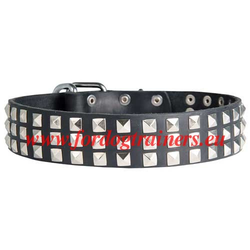 WSL Leather Collar with Pyramids