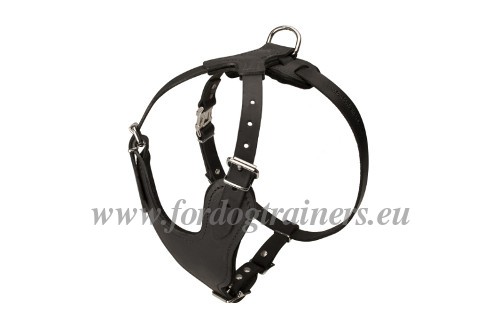 Y-shape Leather Harness for West Siberian