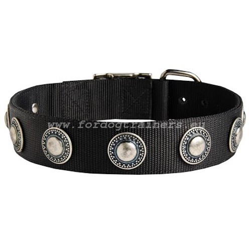 Nylon Collar for Boxer with Decoration
