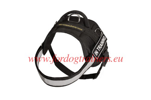 Dog Harness Perfect for Wet Weather