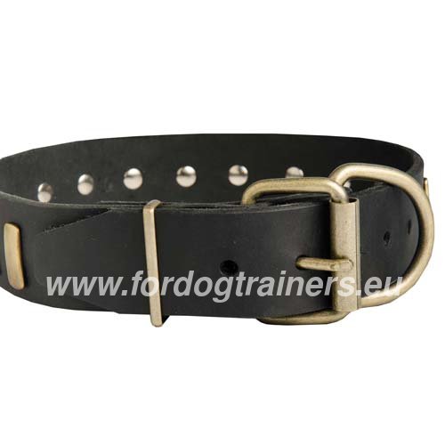 Metal Buckle and D-ring of the
Dog Collar