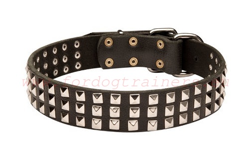 Wide Leather Collar with square plates for Belgian
Malinois