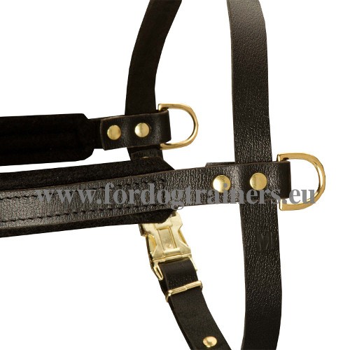 Nickel-plated Hardware Pulling Harness for
Laika