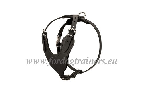 Laika Harness for Training and Sports