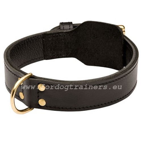 Reliable fittings of the leather dog collar two-ply