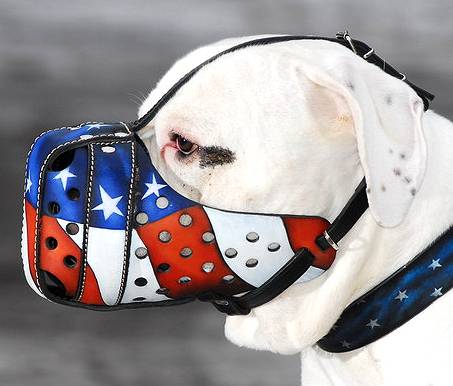 American Bulldog Leather painted muzzle