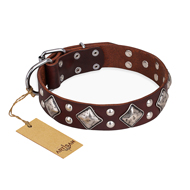 Brown Leather Dog Collar "King of Grace" FDT Artisan