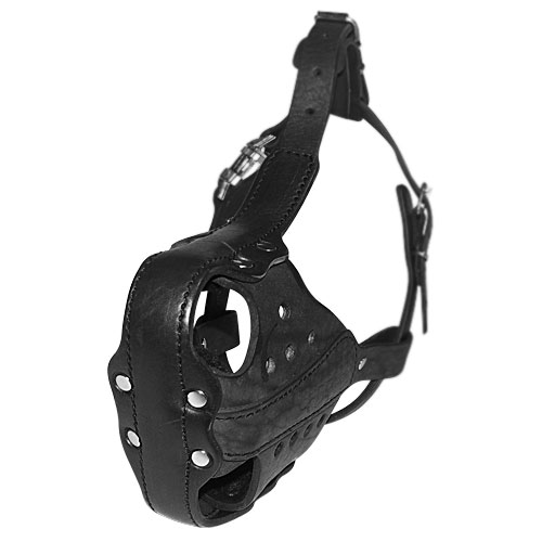 Hard leather dog muzzle for GSD
