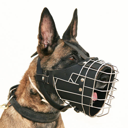 Solid Cage Muzzle for Dogs