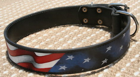 Designer painted leather dog collar