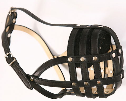 Best padded leather dog muzzle for All Mastiffs