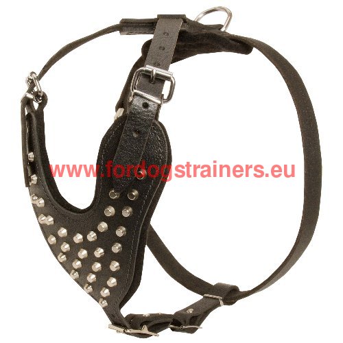 Harness for Amstaff reliable control