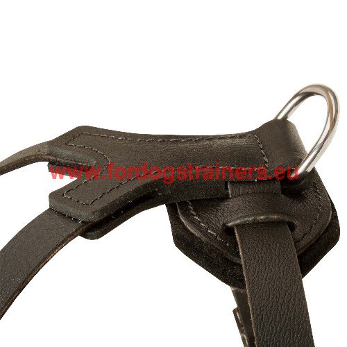 Adjustable harness with pyramids for Amstaff